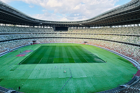 大きなスタジアムの全景